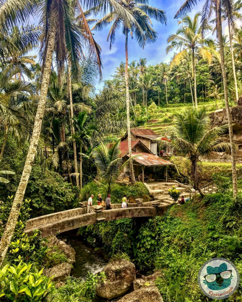 Cosa Vedere a Bali - Itinerario Est - Pura Gunung Kawi Jungle